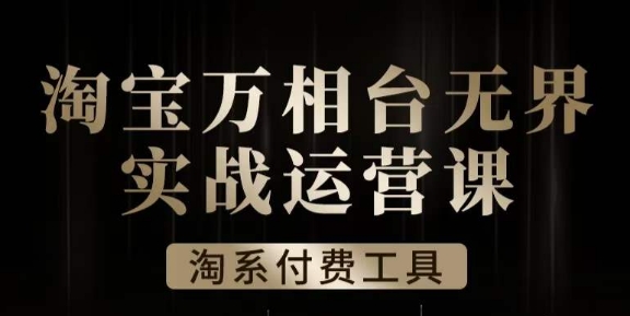 沧海·淘系万相台无界实战运营课，万相台无界实操全案例解析-小齐资源库