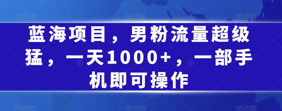 蓝海项目，男粉流量超级猛，一天1000+，一部手机即可操作【揭秘】-小齐资源库