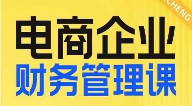 电商企业财务管理线上课，为电商企业规划财税-小齐资源库