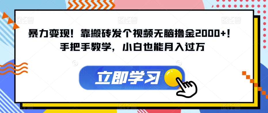 暴力变现！靠搬砖发个视频无脑撸金2000+！手把手教学，小白也能月入过万【揭秘】-小齐资源库
