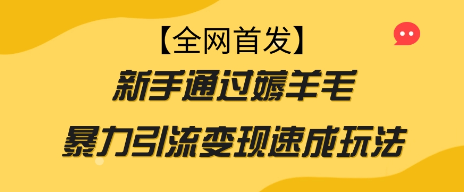【全网首发】新手通过薅羊毛暴力引流变现速成玩法-小齐资源库