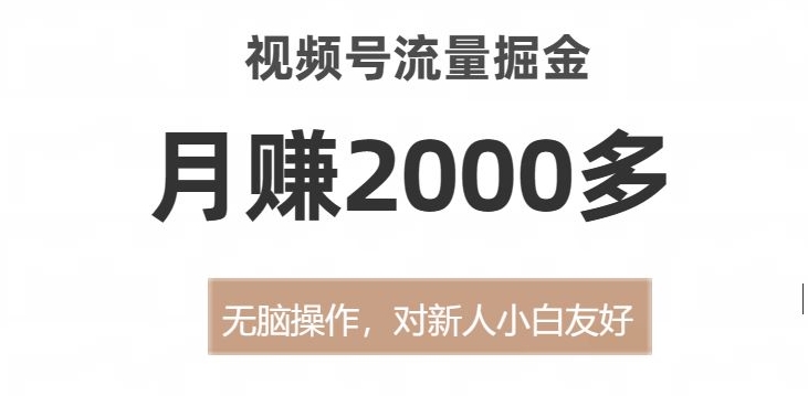 视频号流量掘金，无脑操作，对新人小白友好，月赚2000多【揭秘】-小齐资源库