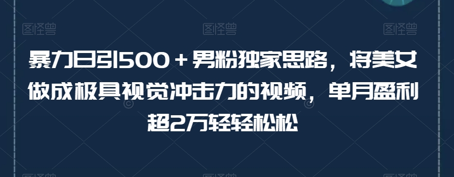 暴力日引500＋男粉独家思路，将美女做成极具视觉冲击力的视频，单月盈利超2万轻轻松松-小齐资源库