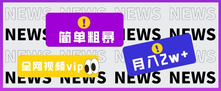 简单粗暴零成本，高回报，全网视频VIP掘金项目，月入2万＋【揭秘】-小齐资源库