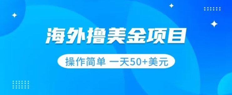 撸美金项目无门槛操作简单小白一天50+美刀-小齐资源库