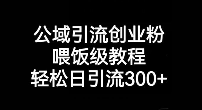 公域引流创业粉，喂饭级教程，轻松日引流300+【揭秘】-小齐资源库