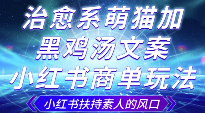 治愈系萌猫加+黑鸡汤文案，小红书商单玩法，3~10天涨到1000粉，一单200左右-小齐资源库