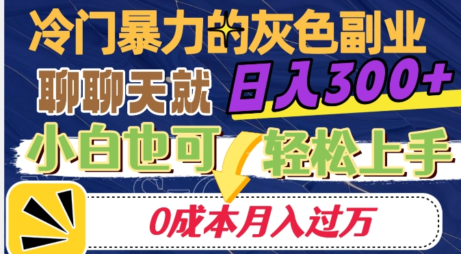 冷门暴利的副业项目，聊聊天就能日入300+，0成本月入过万【揭秘】-小齐资源库