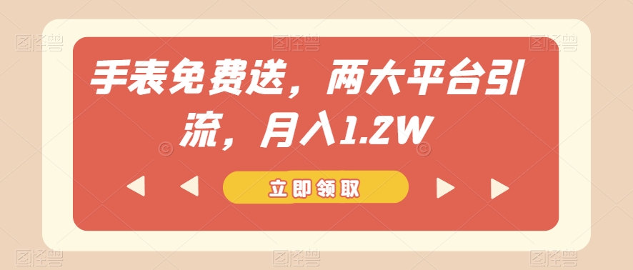 手表免费送，两大平台引流，月入1.2W【揭秘】-小齐资源库