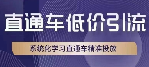 直通车低价引流课，系统化学习直通车精准投放-小齐资源库