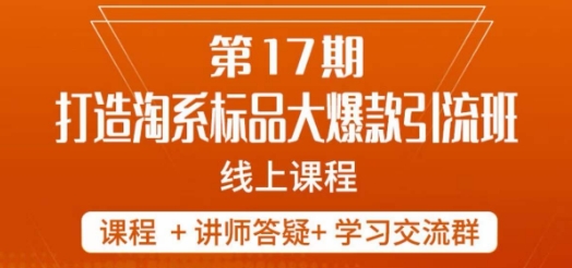 南掌柜-第17期打造淘系标品大爆款，5天线上课-小齐资源库