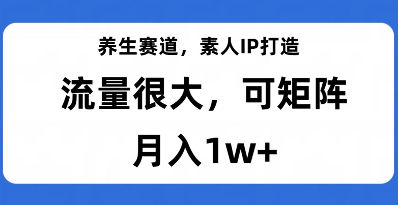 养生赛道，素人IP打造，流量很大，可矩阵，月入1w+【揭秘】-小齐资源库