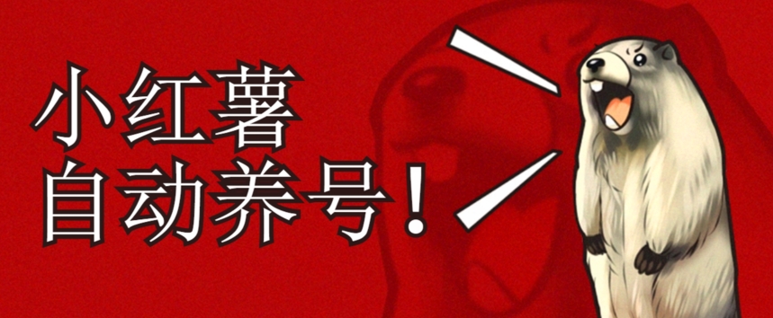 小红书养号秘籍，如何自动涨粉清晰系统标签打造高权重账号【揭秘】-小齐资源库