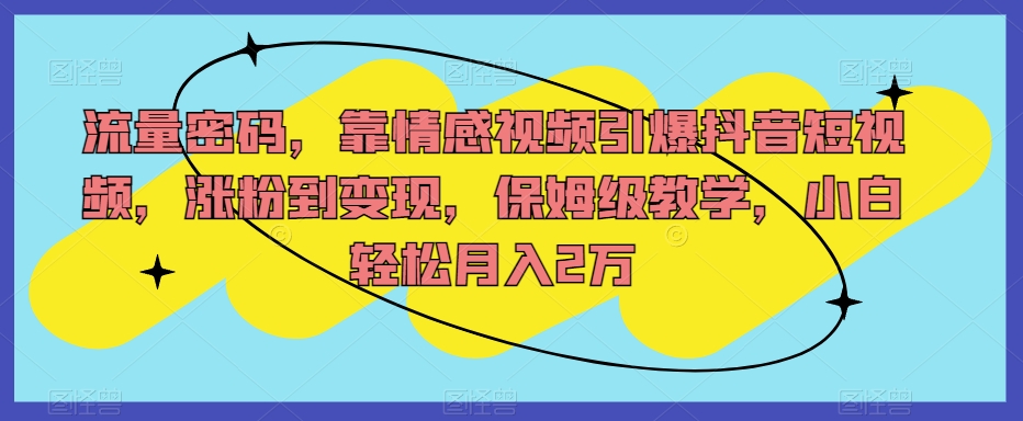 流量密码，靠情感视频引爆抖音短视频，涨粉到变现，保姆级教学，小白轻松月入2万【揭秘】-小齐资源库