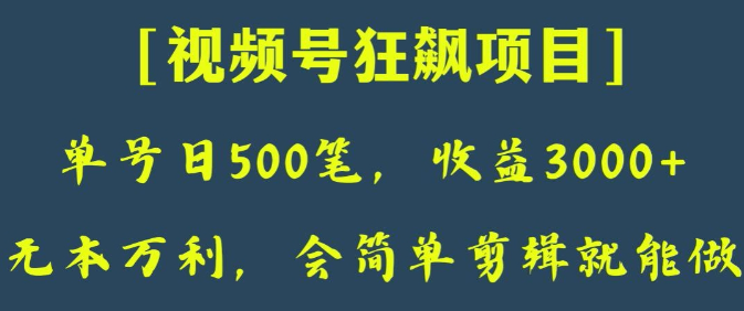 日收款500笔，纯利润3000+，视频号狂飙项目，会简单剪辑就能做【揭秘】-小齐资源库