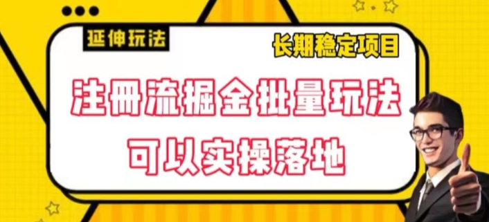 注册流掘金批量玩法，可以实操落地【揭秘】-小齐资源库