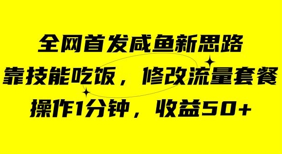 咸鱼冷门新玩法，靠“技能吃饭”，修改流量套餐，操作1分钟，收益50【揭秘】-小齐资源库