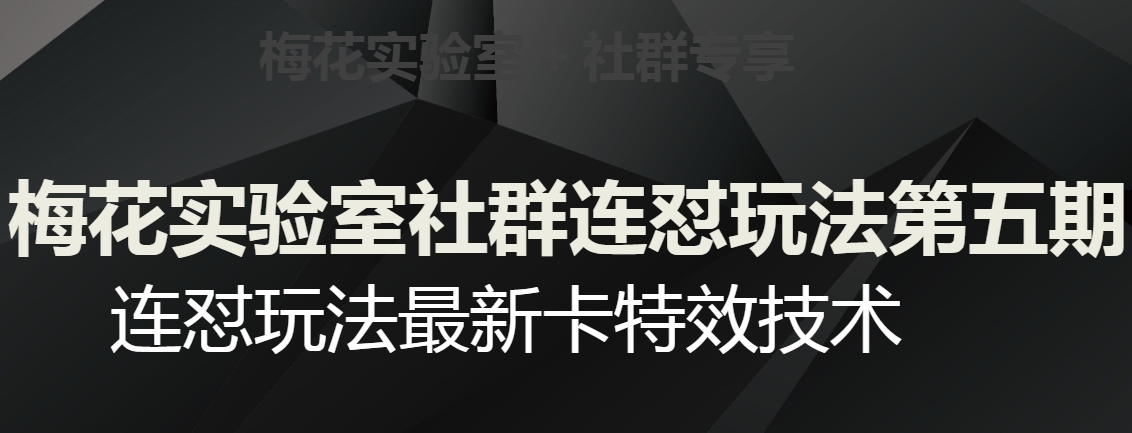 梅花实验室社群连怼玩法第五期，视频号连怼玩法最新卡特效技术-小齐资源库