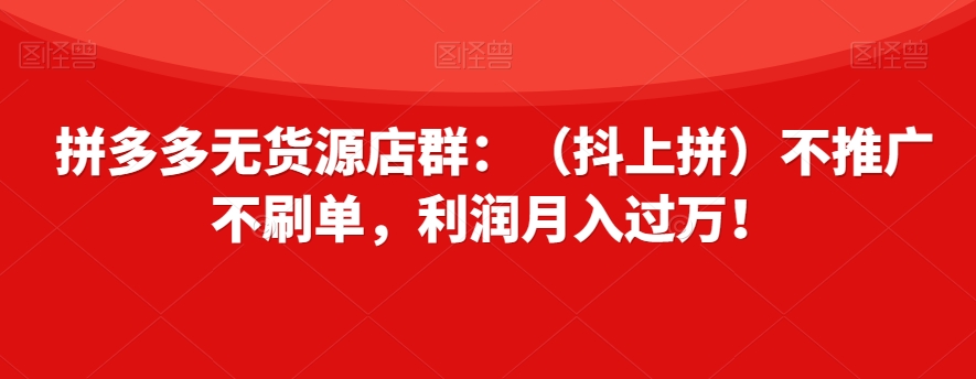 拼多多无货源店群：（抖上拼）不推广不刷单，利润月入过万！【揭秘】-小齐资源库