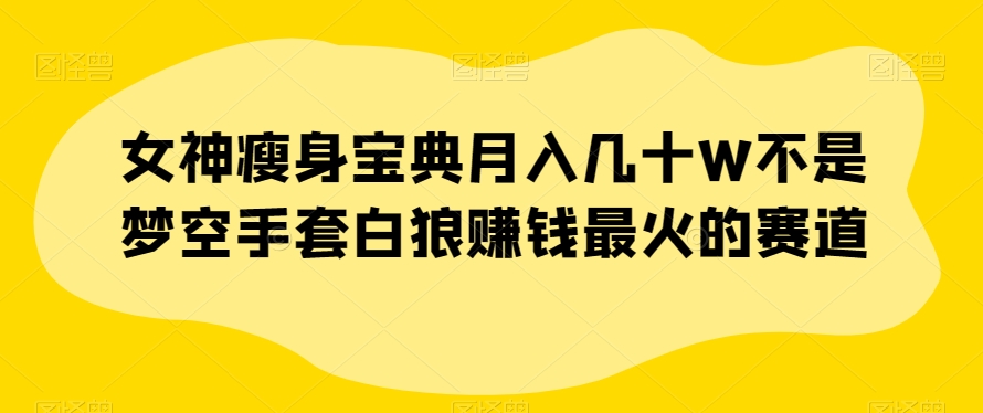 女神瘦身宝典月入几十W不是梦空手套白狼赚钱最火的赛道【揭秘】-小齐资源库