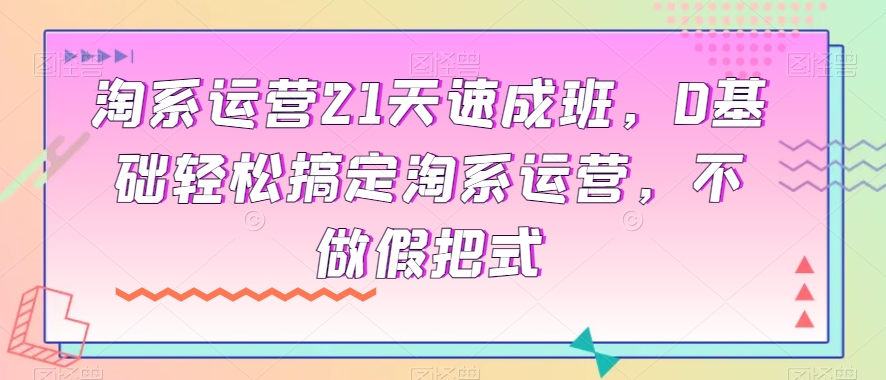 淘系运营21天速成班，0基础轻松搞定淘系运营，不做假把式-小齐资源库