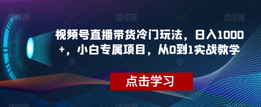 视频号直播带货冷门玩法，日入1000+，小白专属项目，从0到1实战教学【揭秘】-小齐资源库