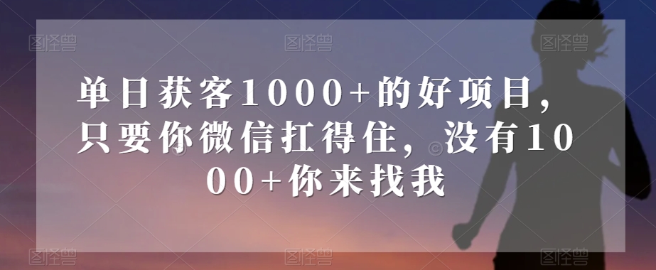 单日获客1000+的好项目，只要你微信扛得住，没有1000+你来找我【揭秘】-小齐资源库