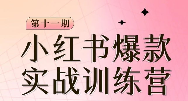 小红书博主爆款训练营第11期，手把手教你从0-1做小红书，从定位到起号到变现-小齐资源库
