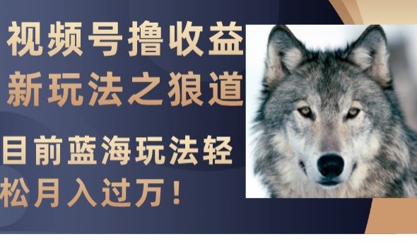 视频号撸收益新玩法之狼道，目前蓝海玩法，轻松月入过万【揭秘】-小齐资源库