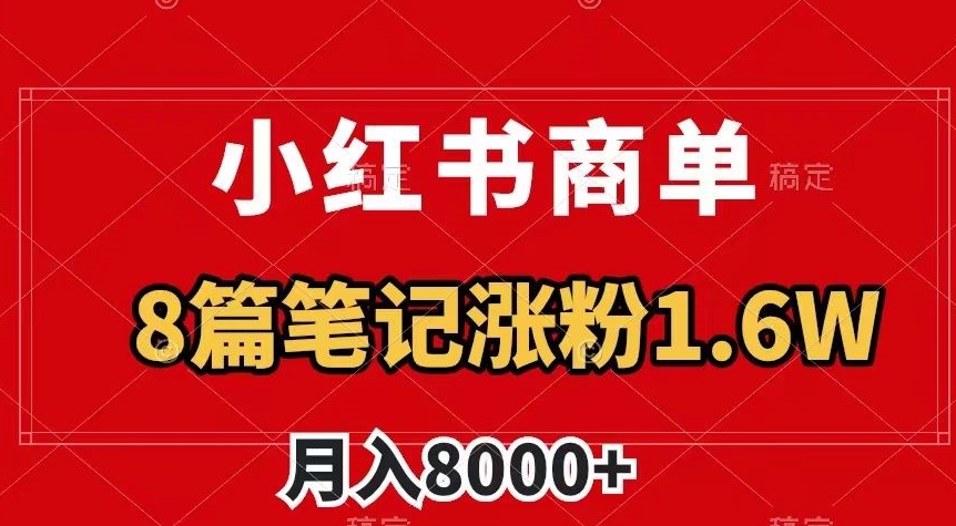 小红书商单最新玩法，8篇笔记涨粉1.6w，作品制作简单，月入8000+【揭秘】-小齐资源库