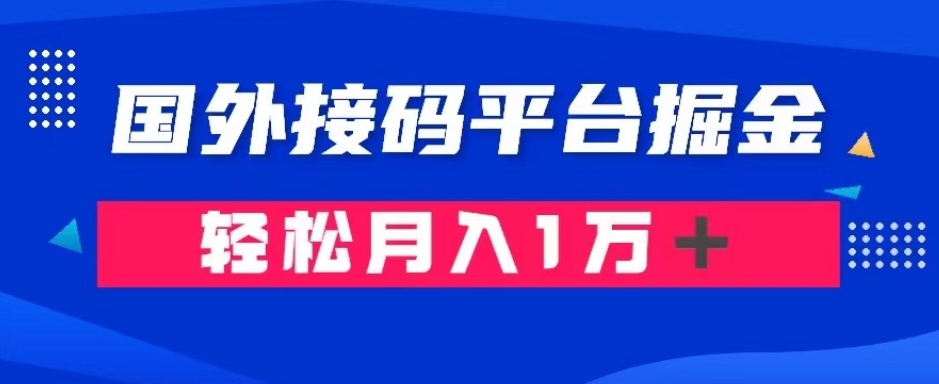 通过国外接码平台掘金：成本1.3，利润10＋，轻松月入1万＋【揭秘】-小齐资源库