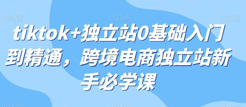 tiktok+独立站0基础入门到精通，跨境电商独立站新手必学课-小齐资源库