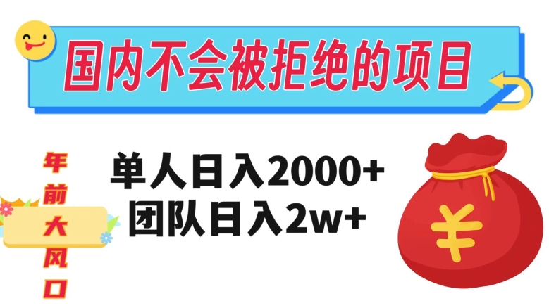 在国内不怕被拒绝的项目，单人日入2000，团队日入20000+【揭秘】-小齐资源库