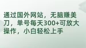 通过国外网站，无脑赚美刀，单号每天300+可放大操作，小白轻松上手【揭秘】-小齐资源库
