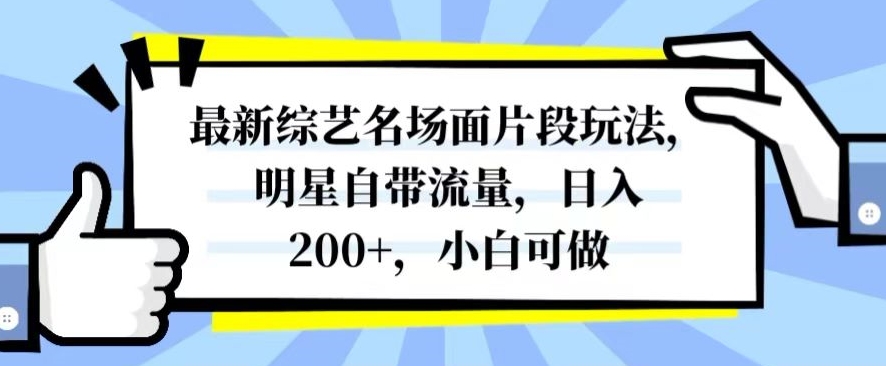 最新综艺名场面片段玩法，明星自带流量，日入200+，小白可做【揭秘】-小齐资源库