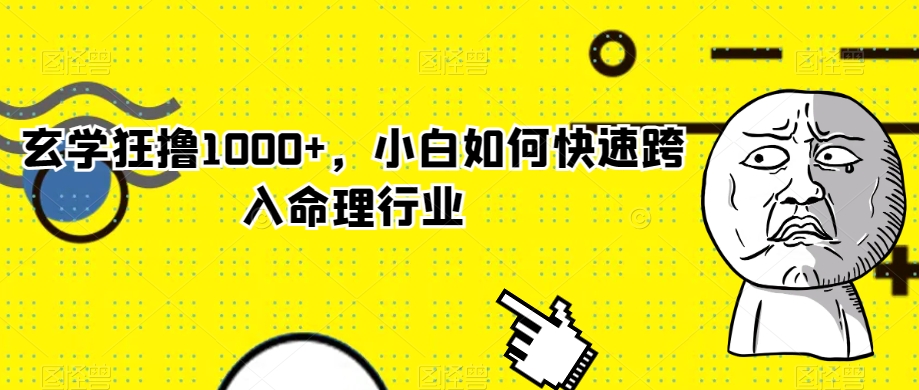 玄学狂撸1000+，小白如何快速跨入命理行业【揭秘】-小齐资源库