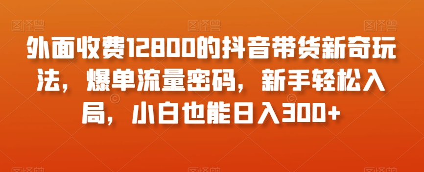 外面收费12800的抖音带货新奇玩法，爆单流量密码，新手轻松入局，小白也能日入300+【揭秘】-小齐资源库