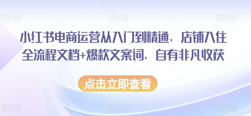 小红书电商运营从入门到精通，店铺入住全流程文档+爆款文案词，自有非凡收获-小齐资源库