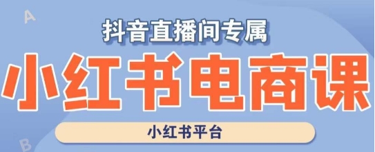 小红书电商高级运营课程，实操教学+案例分析-小齐资源库