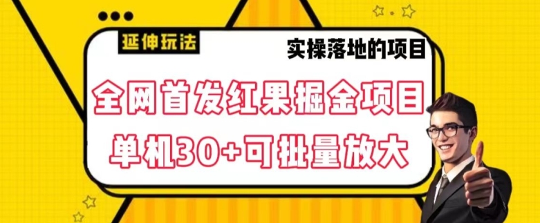 全网首发红果免费短剧掘金项目，单机30+可批量放大【揭秘】-小齐资源库