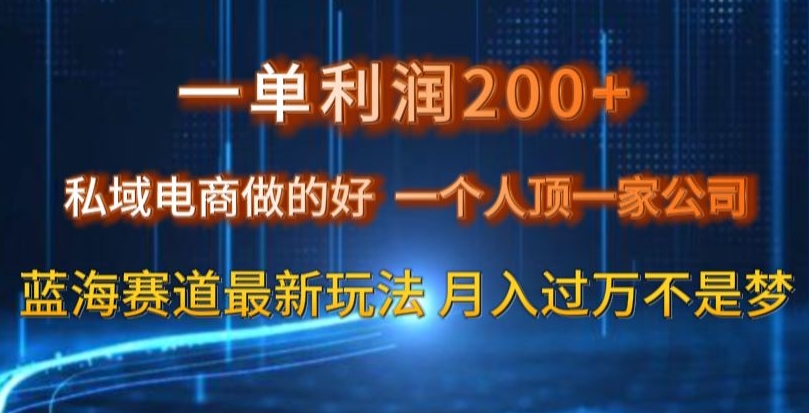 一单利润200私域电商做的好，一个人顶一家公司蓝海赛道最新玩法【揭秘】-小齐资源库