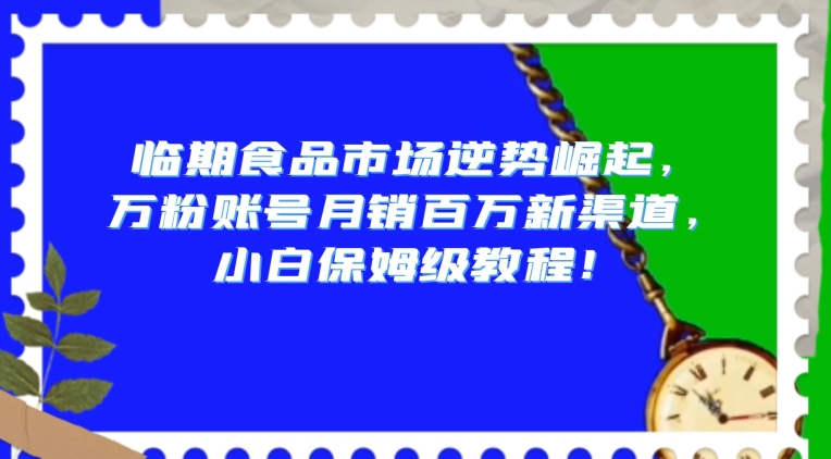 临期食品市场逆势崛起，万粉账号月销百万新渠道，小白保姆级教程【揭秘】-小齐资源库