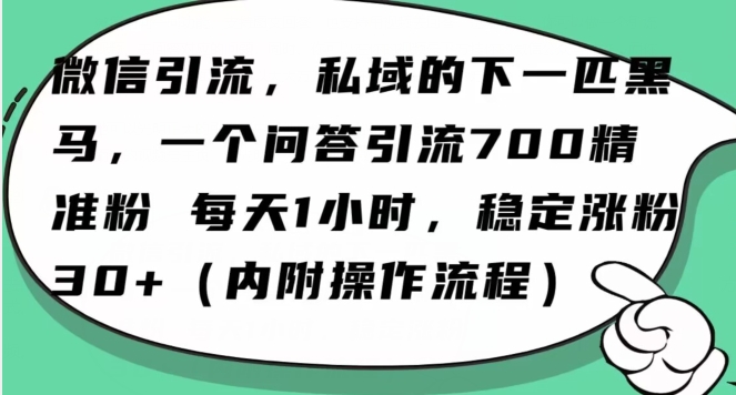 怎么搞精准创业粉？微信新赛道，每天一小时，利用Ai一个问答日引100精准粉-小齐资源库