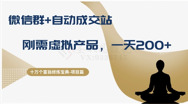 十万个富翁修炼宝典之8.微信群+自动成交站，刚需虚拟产品，一天200+-小齐资源库