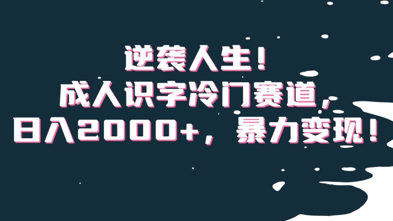 逆袭人生！成人识字冷门赛道，日入2000+，暴力变现！【揭秘】-小齐资源库