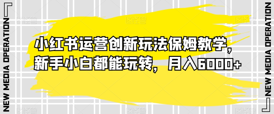 小红书运营创新玩法保姆教学，新手小白都能玩转，月入6000+【揭秘】-小齐资源库