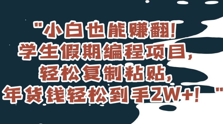 小白也能赚翻！学生假期编程项目，轻松复制粘贴，年货钱轻松到手2W+【揭秘】-小齐资源库