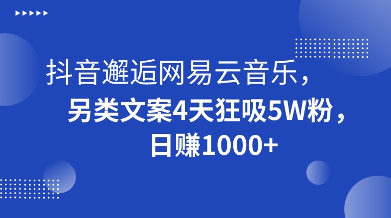 抖音邂逅网易云音乐，另类文案4天狂吸5W粉，日赚1000+【揭秘】-小齐资源库