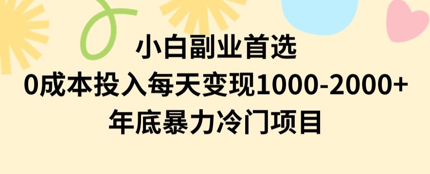 小白副业首选，0成本投入，每天变现1000-2000年底暴力冷门项目【揭秘】-小齐资源库