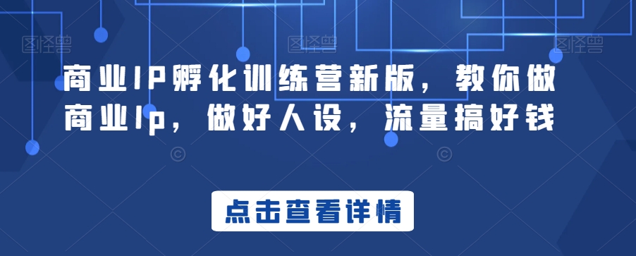 商业IP孵化训练营新版，教你做商业Ip，做好人设，流量搞好钱-小齐资源库